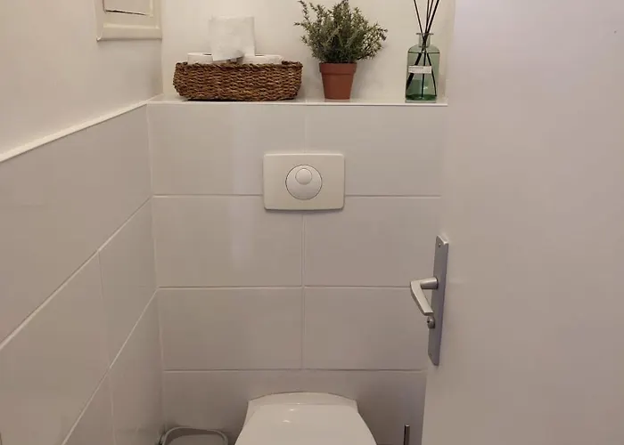 Renove Moderne 2 A Montrejeau